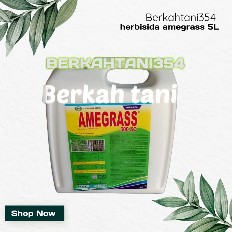 Herbisida Amegrass 5liter Herbisida tanaman tebu amigras 5liter