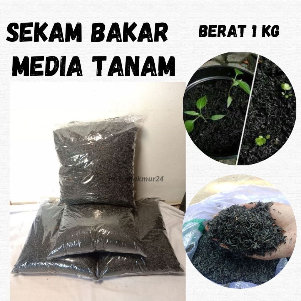 sekam bakar 1 kg / sekam bakar media tanam