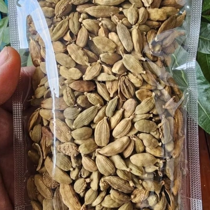 

Kapulaga Arab 100gr - Kapulaga Hijau - Kapulaga India