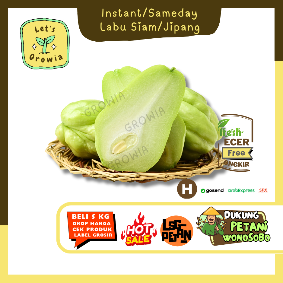 

Growia | Labu Siam/Jipang -- Hasil Petani Langsung Ecer (H)