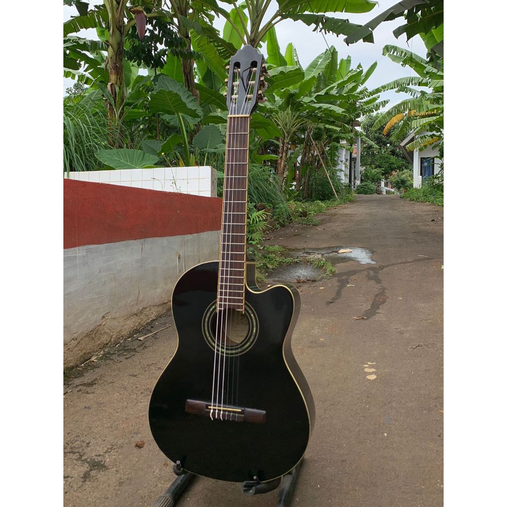 Gitar klasik elektrik samick greg bennet