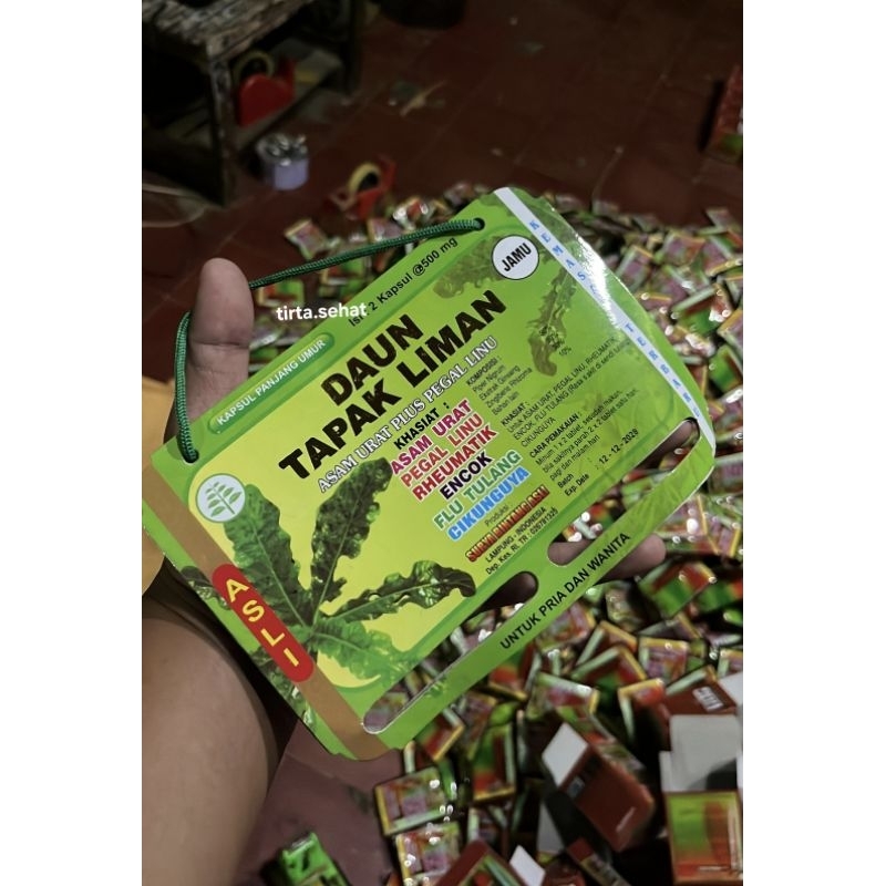 Daun Tapak Liman