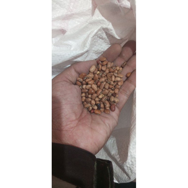 

kacang dadap/kedelai/kupas 1kg