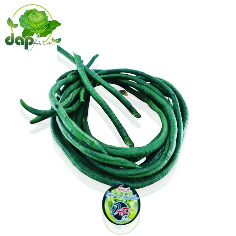 

Kacang Panjang/ DAP Farm/ Sayur Sehat Jakarta