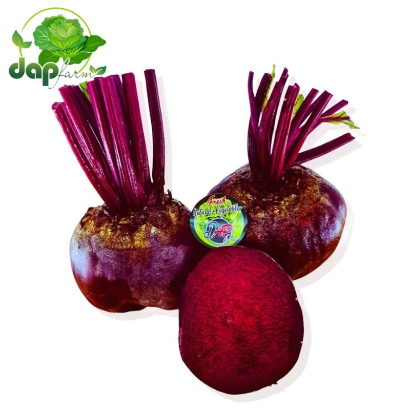 

Buah Beet Root/ Bit/DAP Farm/ Buah Segar Jakarta