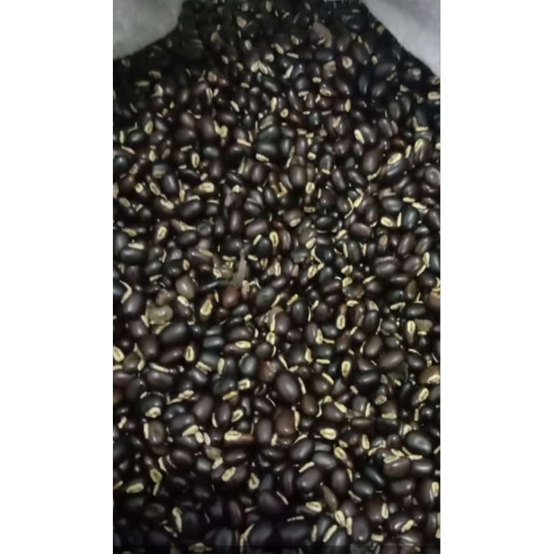

biji MB(Mucuna bracteata)