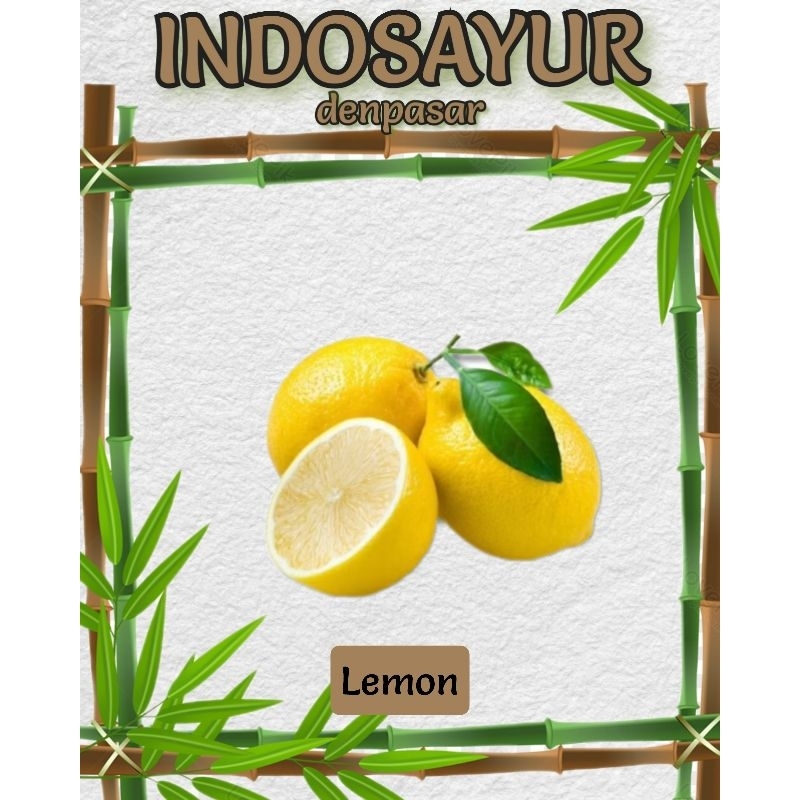 

Buah Lemon Import _ INDOSAYUR