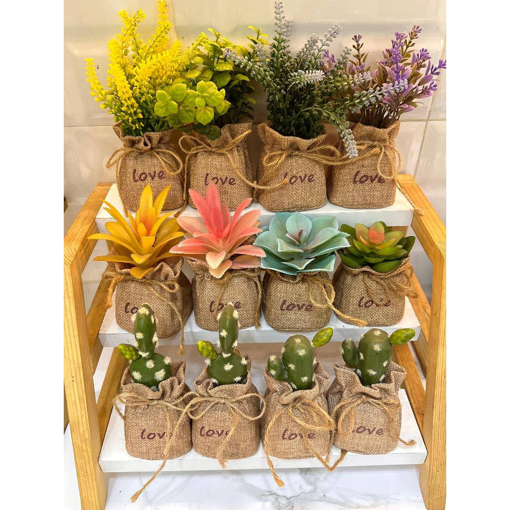 Bunga Hias Goni - Dekorasi Rumah - Sekulen Pot Goni