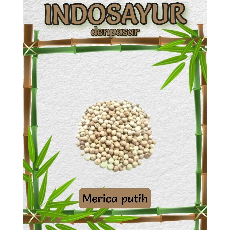 

Merica Putih butir _ INDOSAYUR