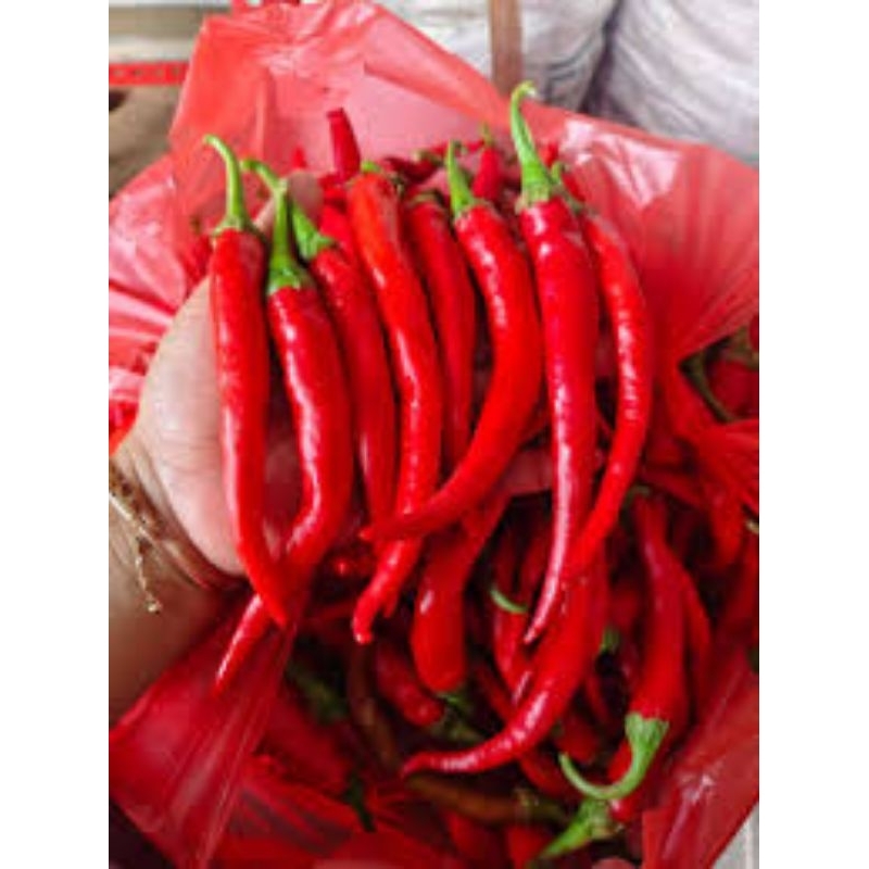 

MURAH PROMO cabe merah besar ASLI BANYUWANGI TW 1kg