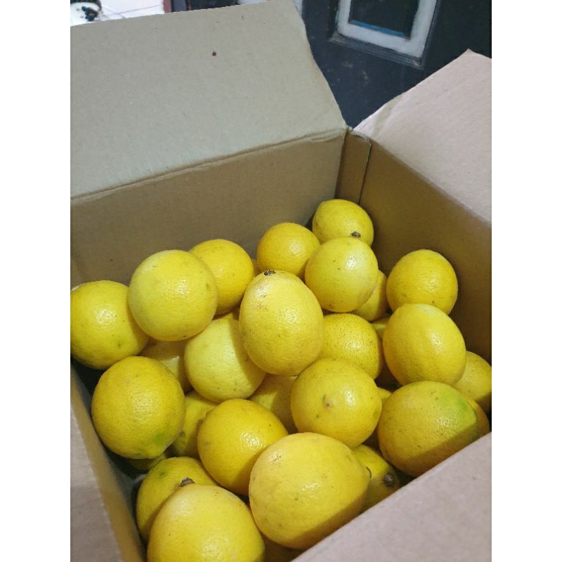 

LEMON CALIFORNIA 10 KG GRADE ABC (SUPER) DIJAMIN TERMURAH DENGAN KUALITAS SUPER
