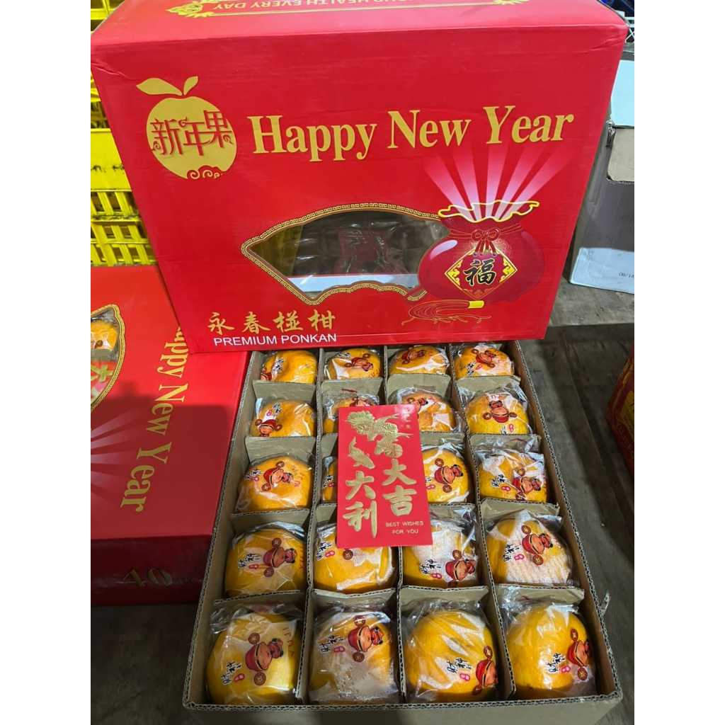 

Jeruk Ponkam Sekat Size 40 (BOX)