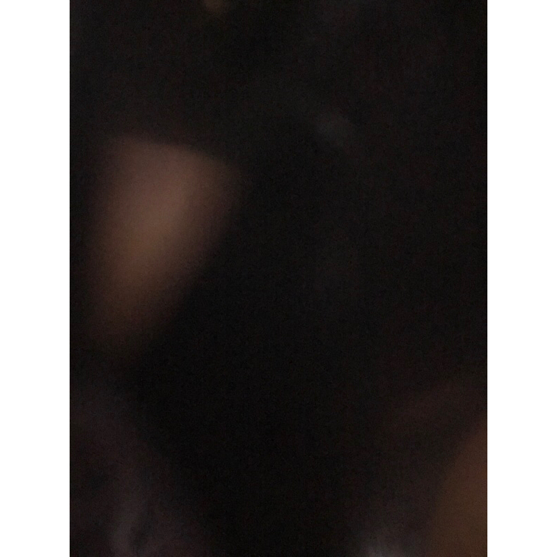 hoodie dickies art 22