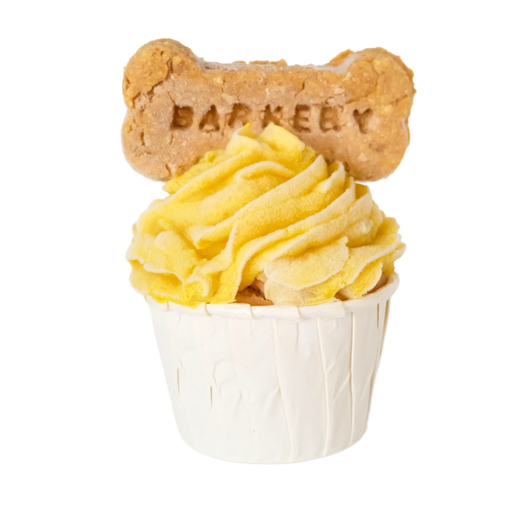 

Pupcake: Beef Pumpkin