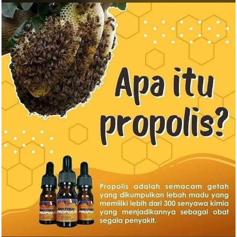 

propolis