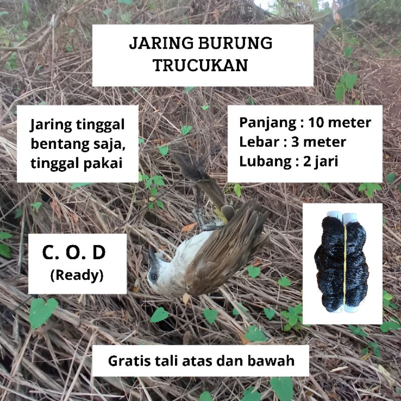 JARING BURUNG TRUCUKAN JARING KUTILANG SIAP PAKAI PIKAT JEBAKAN BURUNG JARING MONTANA