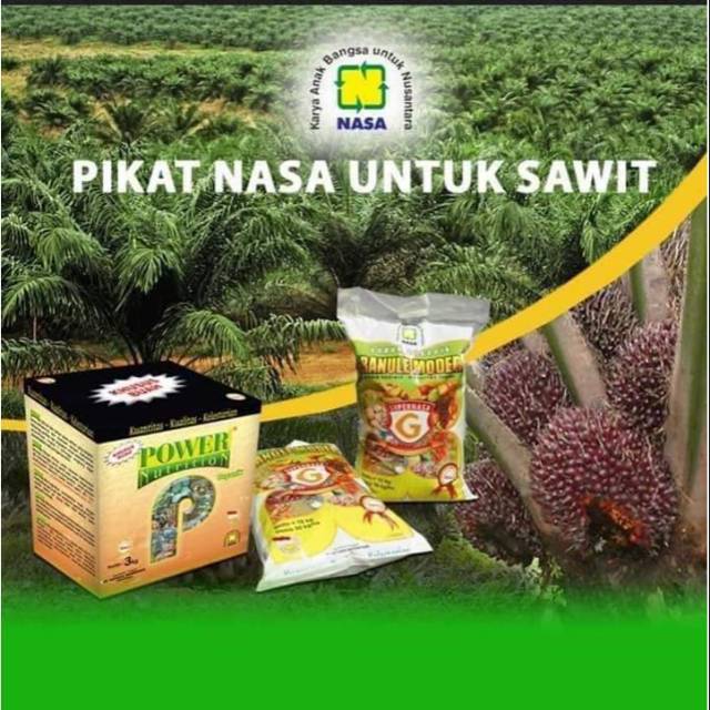 PAKET PUPUK SAWIT - PUPUK UNTUK TANAMAN SAWIT - PUPUK NASA TANAMAN SAWIT - PUPUK ORGANIK UNTUK SAWIT