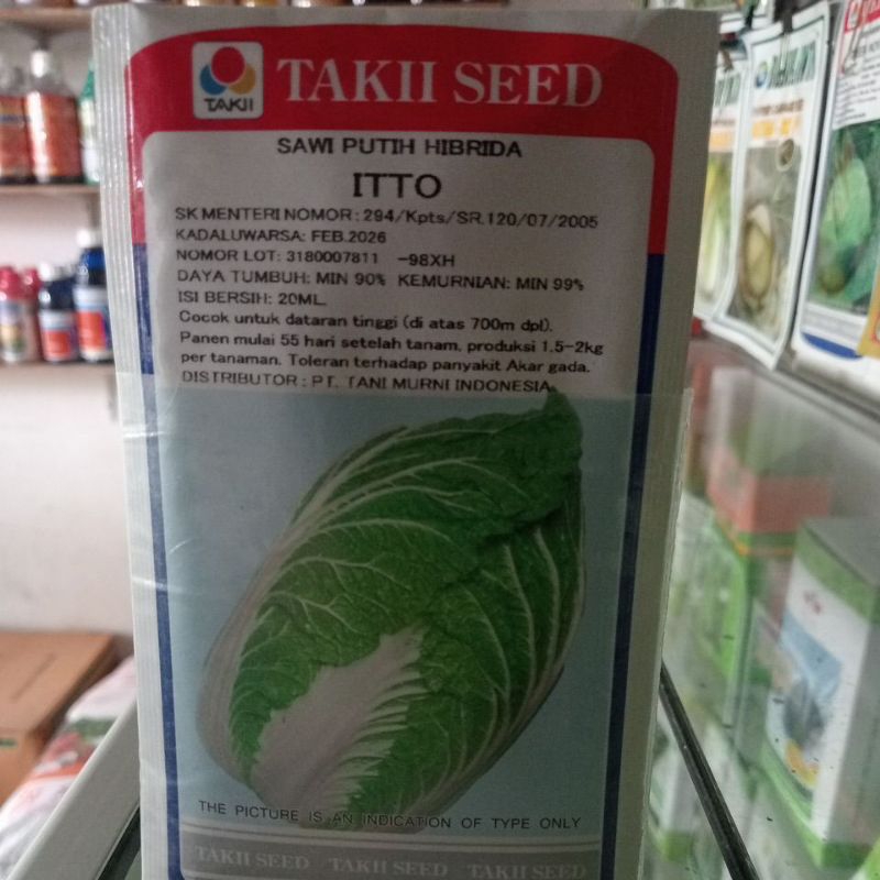 

ITTO Sawi putih hibrida
