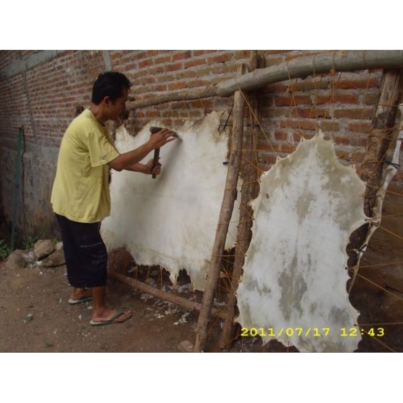kulit bulu kambing olahan
