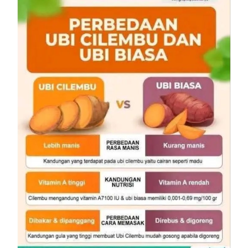 

Ubi madu cilembu