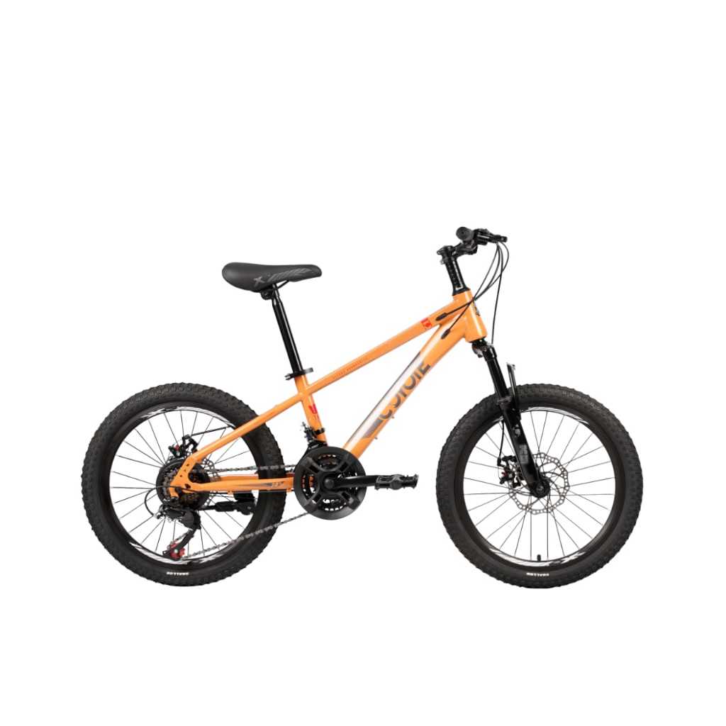 SEPEDA MTB ELEMENT COYOTE 20