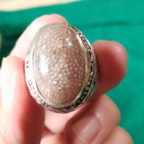 Natural Batu Jipen sisik ular madura