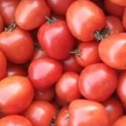 

Tomat Merah fresh 1kg