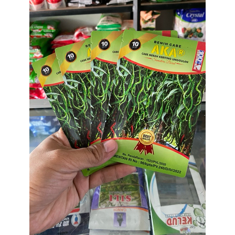 AKAR Benih Cabe Keriting