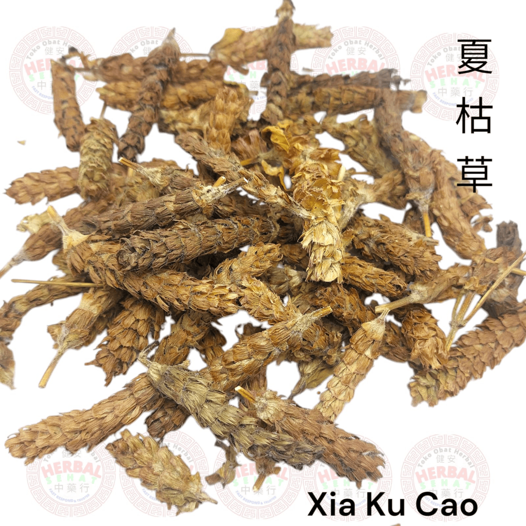 

Grade A - 600 Gram Xia Ku Cao 夏枯草 Xia Gu Cao Prunella Vulgaris Ha Ku Co