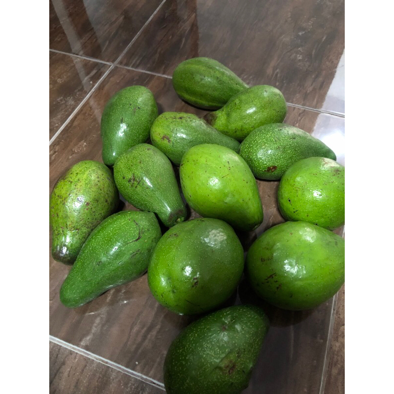 

alpukat mentega/1kg/3buah/4buah