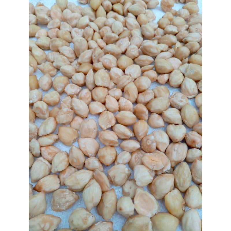 

Kemiri bulat/utuh 1kg fres kwalitas terbaik