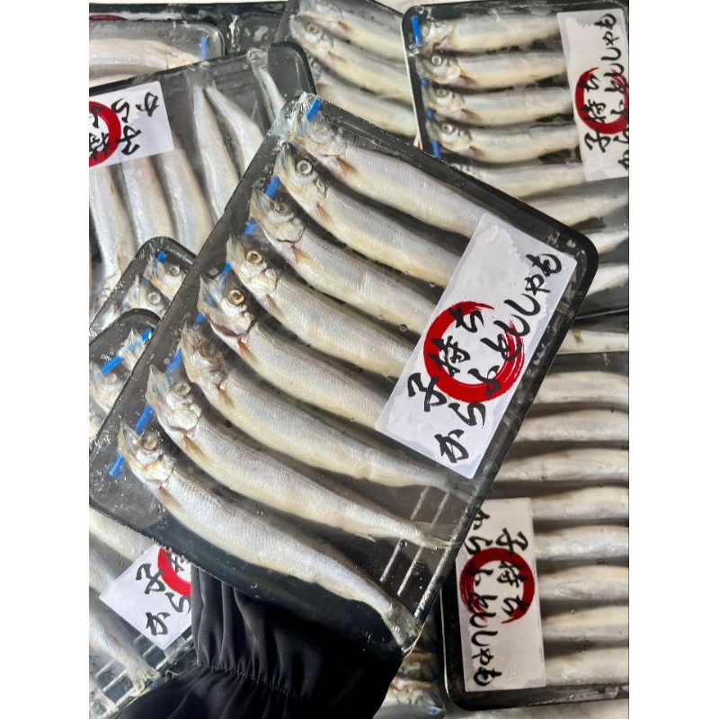 

IKAN SHISHAMO FROZEN FOOD