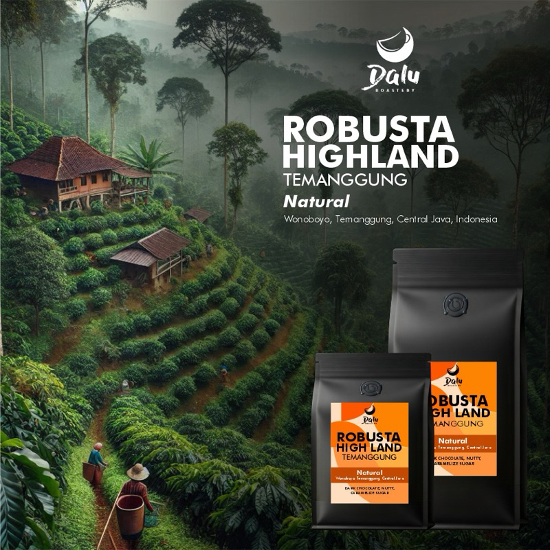 

Kopi Fine Robusta Temanggung - Highland 1Kg 100% FULL Robusta