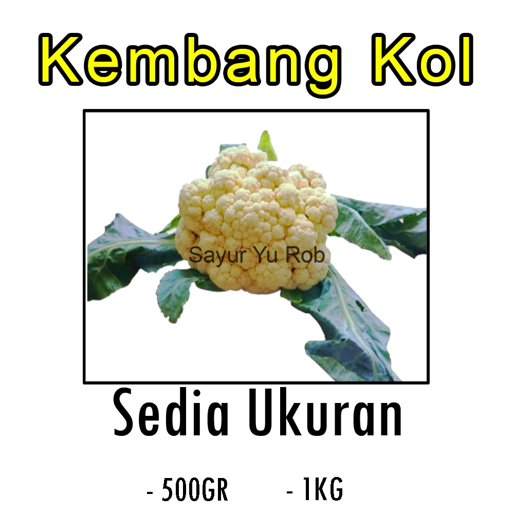 

Sayur Kembang Kol Fresh 500gr dan 1kg