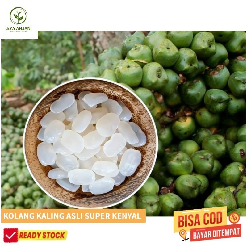 

Biji kolang Kaling Muda super kenyal 2 kg pres