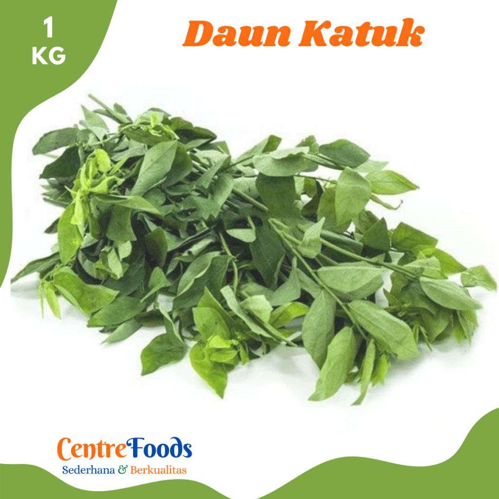 

Daun Katuk - Daun Cekur Manis Fresh | 1.000gr [ Harga Per KG ]