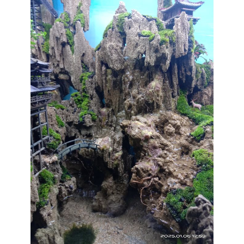 paludarium full set P120xL50xT70cm aquascape paludarium vivarium terrarium