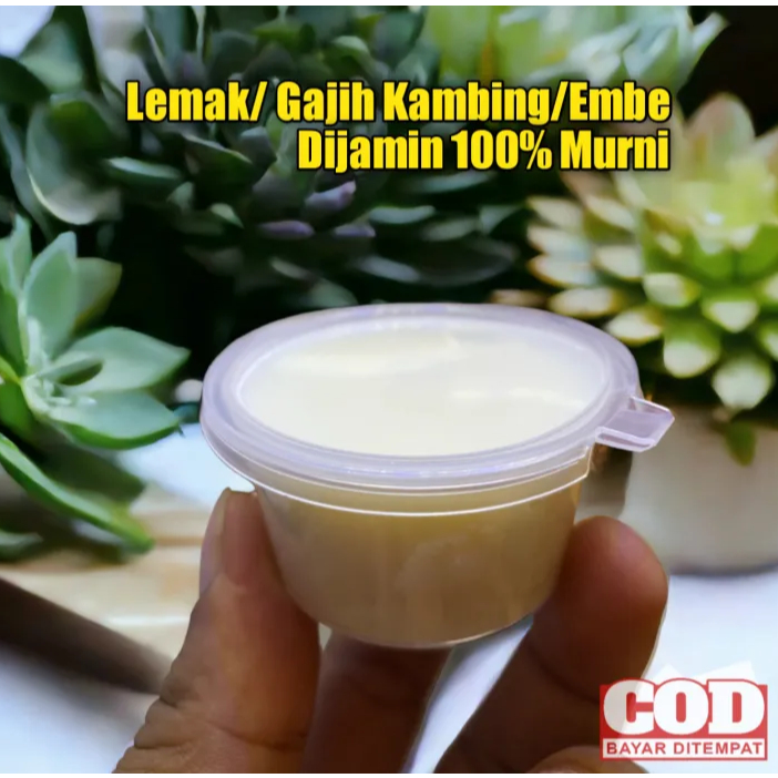 Lemak Kambing/Gajih Embe Murni Untuk Campuran Umpan