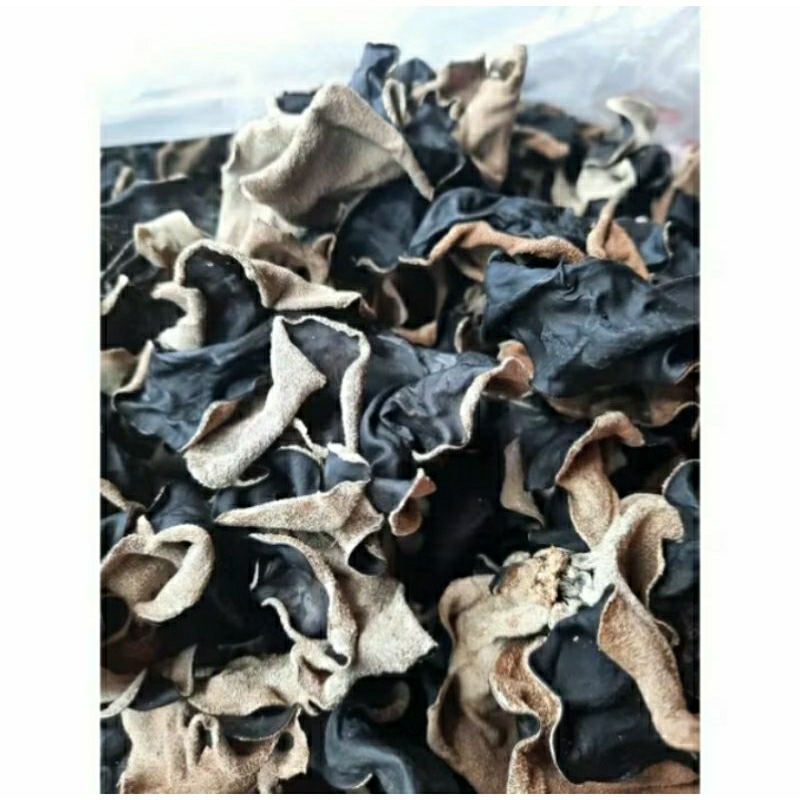

Jamur Kuping Hitam Kering KECIL