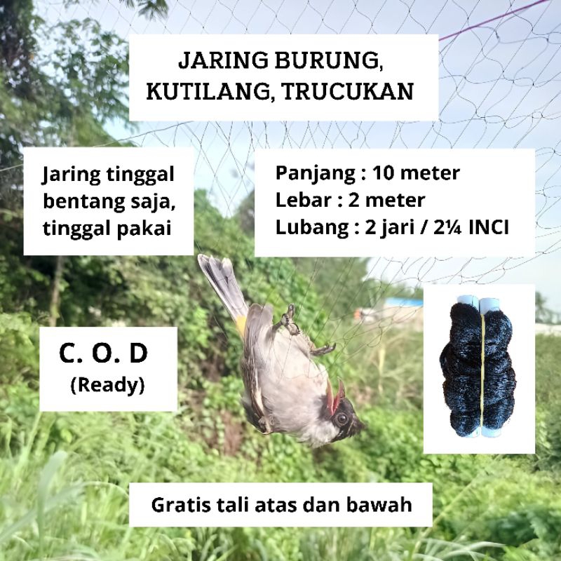 JARING BURUNG KUTILANG JARING BURUNG PERKUTUT JARING BURUNG KUTILANG PANJANG 10M JARING MONTANA