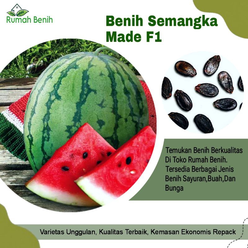 Benih Buah Semangka Loreng Made F1 / Bibit Benih Semangka Merah / Biji Benih Buah Semangka Merah Lor