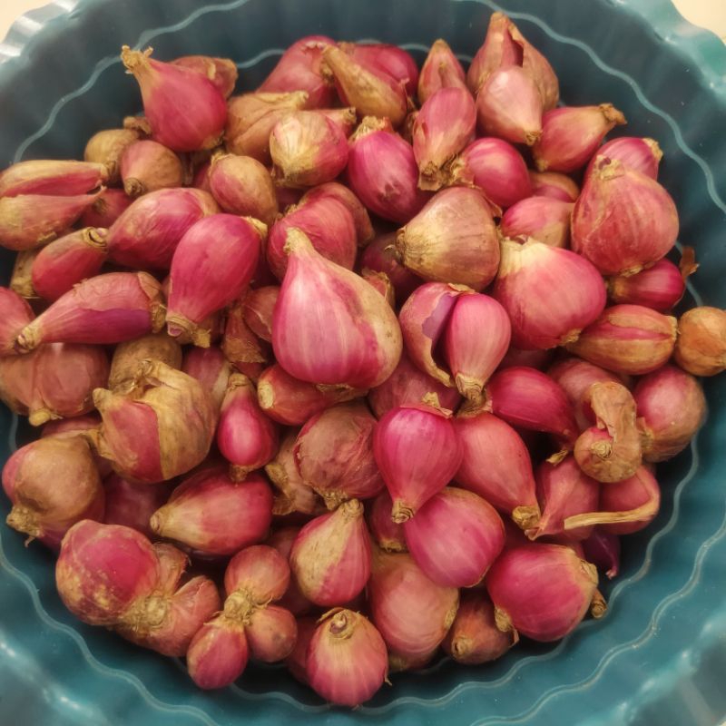 

Bawang Merah 1 Kg Brambang