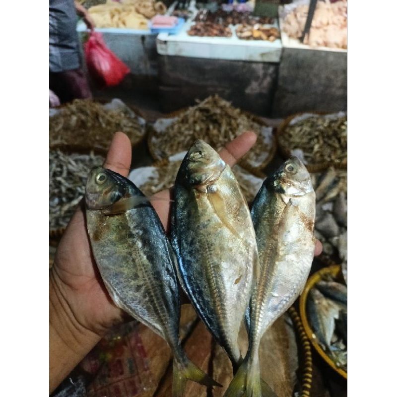 

IKAN ASIN AMPING
