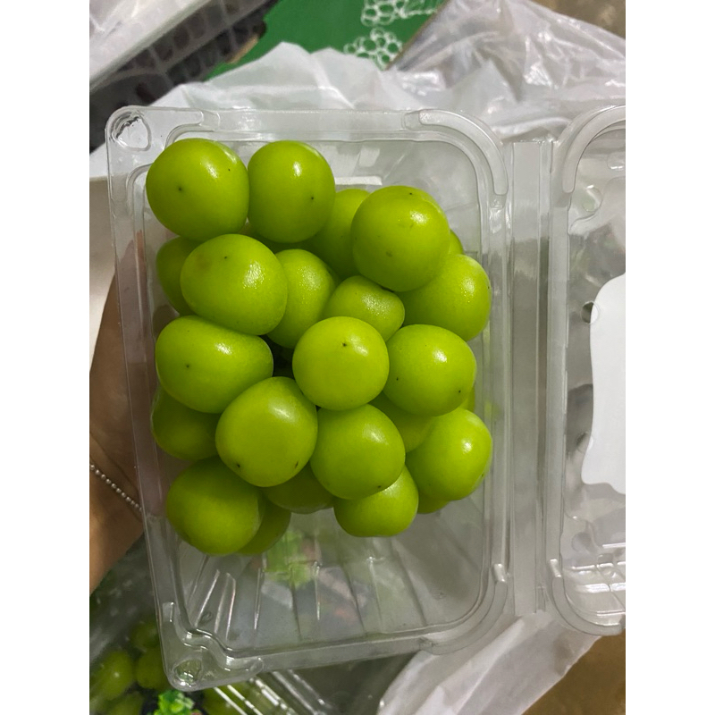 

ANGGUR MUSCAT PACK HIJAU