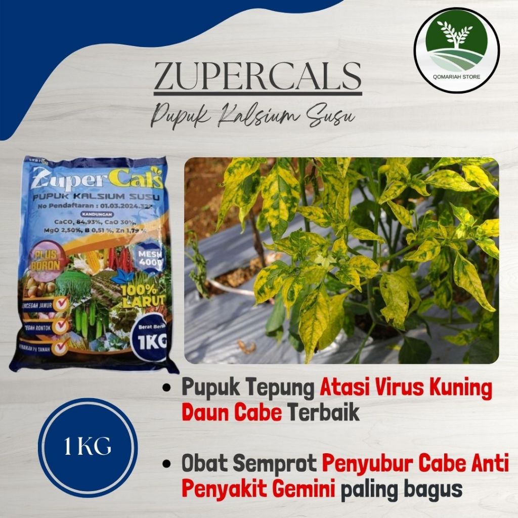ZUPERCALS 1 KG Pupuk Virus Kuning Daun Cabe Paling Ampuh - Obat Atasi penyakit gemini pada tanaman c