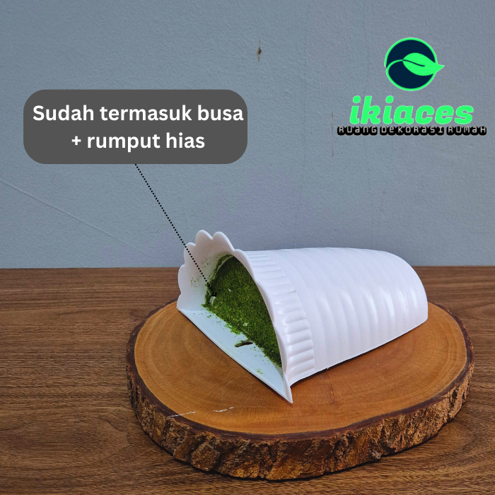 POT DINDING POT PLASTIK KERANG DINDING DEKORASI TANAMAN HIAS MURAH