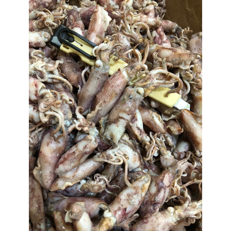 

250gr ikan asin cumi asin sotong cumi rebus ukuran jumbo / kasar