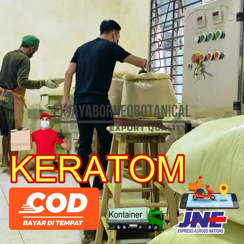 

ex jaya keetuumm green purli daun purlik powdeeer daun purliik bubuk hijau siap seduh