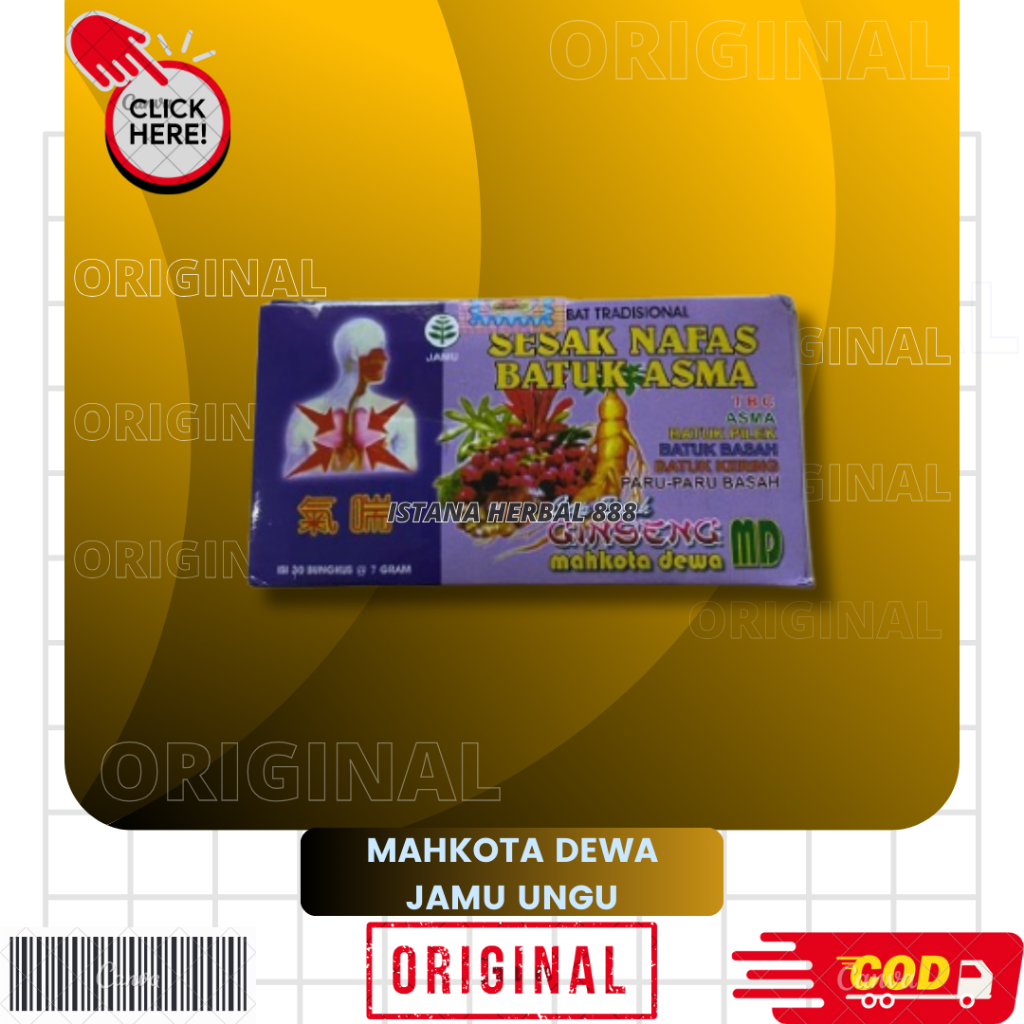 MAHKOTA DEWA SESAK NAFAS