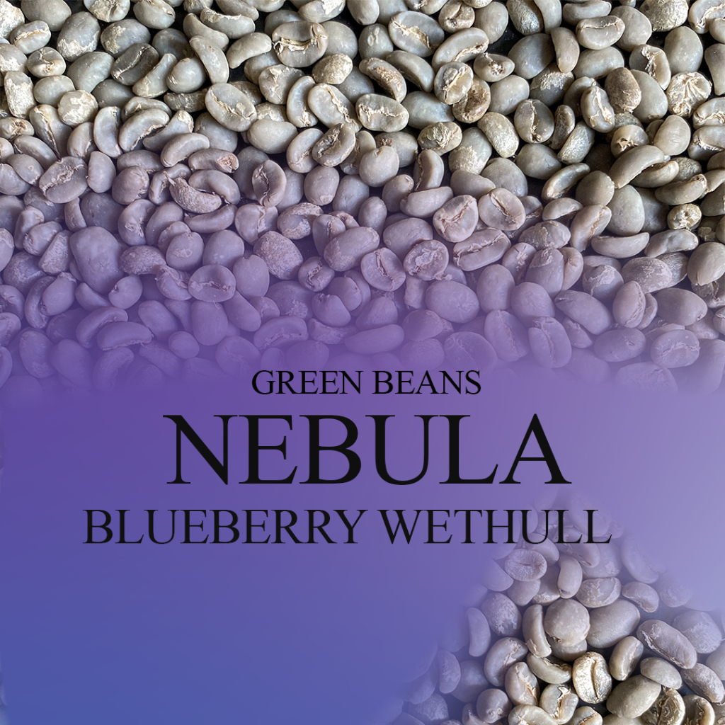 

NEBULA SERIES BLUEBERRY GREEN BEANS COFFEE